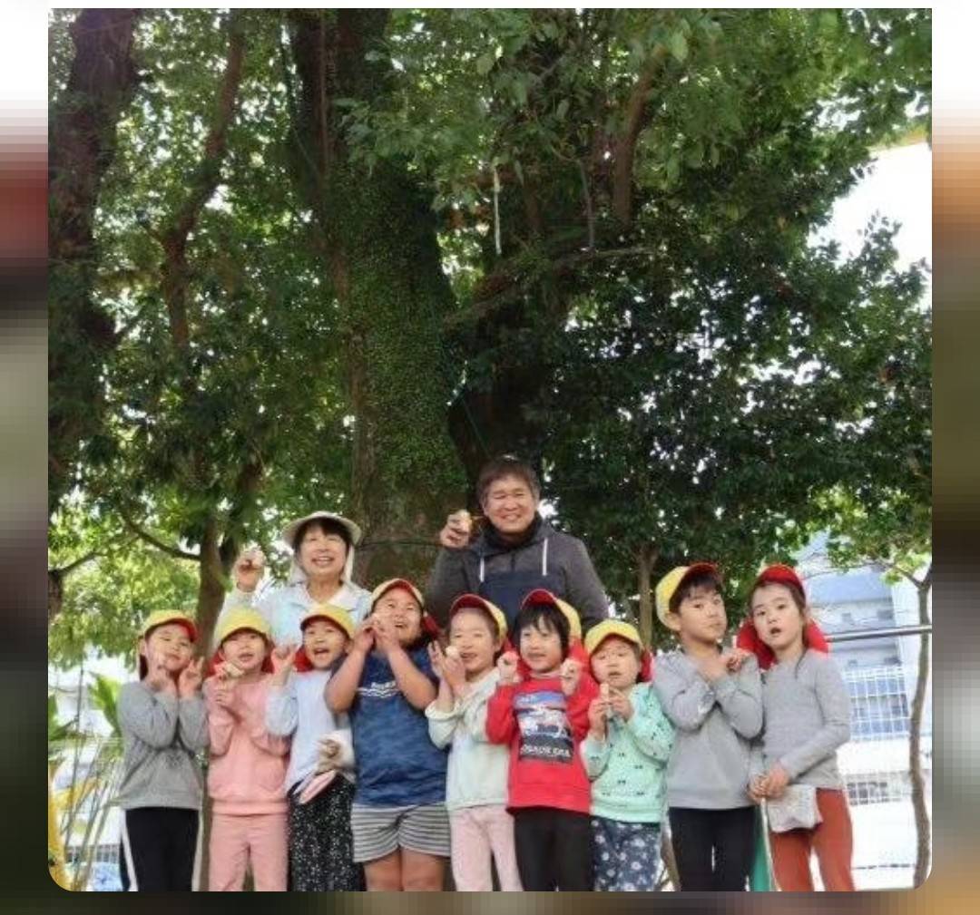 子どもたちと自然の中で過ごす木育・森育活動